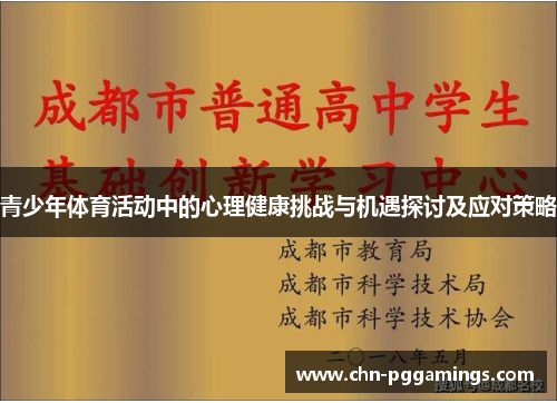 青少年体育活动中的心理健康挑战与机遇探讨及应对策略